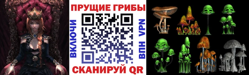 Галлюциногенные грибы MAGIC MUSHROOMS  Кинель 