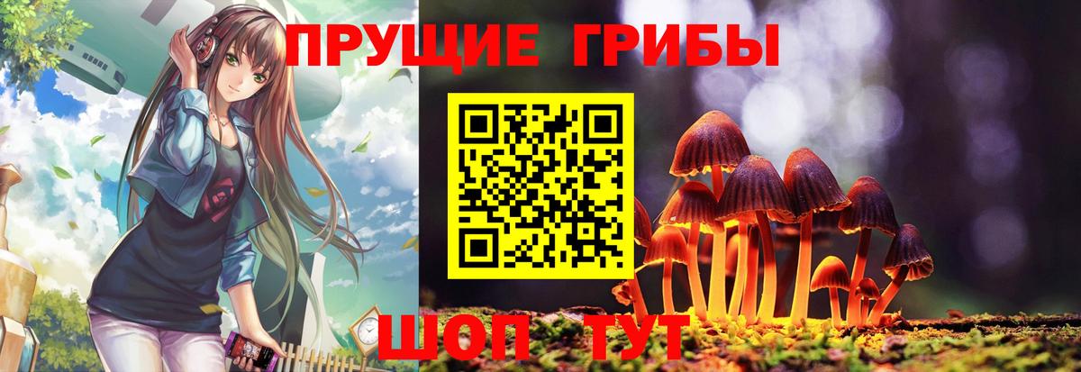 Галлюциногенные грибы мухоморы Кинель